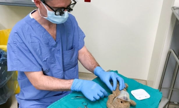 Cirurgio compassivo opera no ursinho de pelcia de um paciente