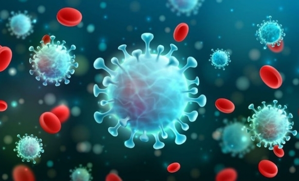 Covid-19: anticorpos podem durar at 12 meses aps infeco