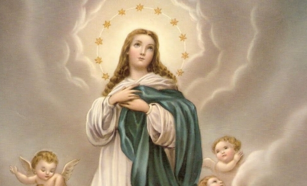 08/12: Santo do Dia - Imaculada Conceio de Maria