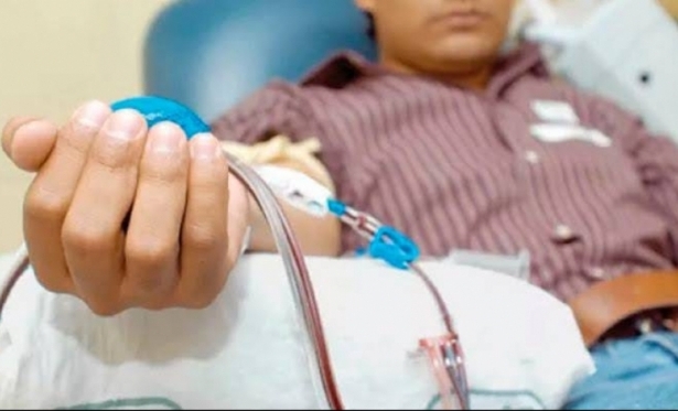 Brasil deve investir R$ 1,8 milho em medicamentos para hemoflicos