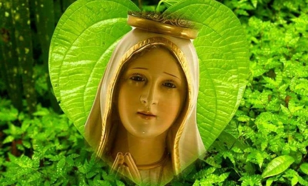 Amar a minha pequenez e a minha pobreza