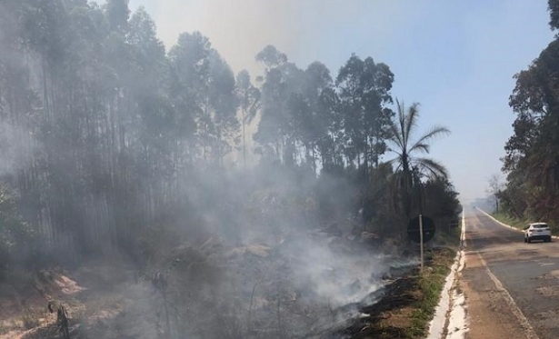 Bombeiros combatem incndio prximo ao trevo de So Joo da Serra Negra