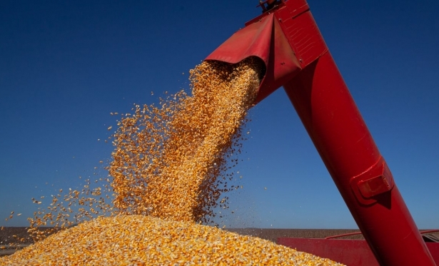 Zerada alquotas de tributos incidentes na importao de milho